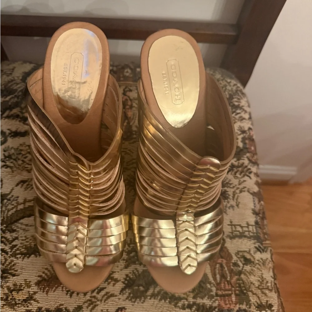 Coach stunning metallic