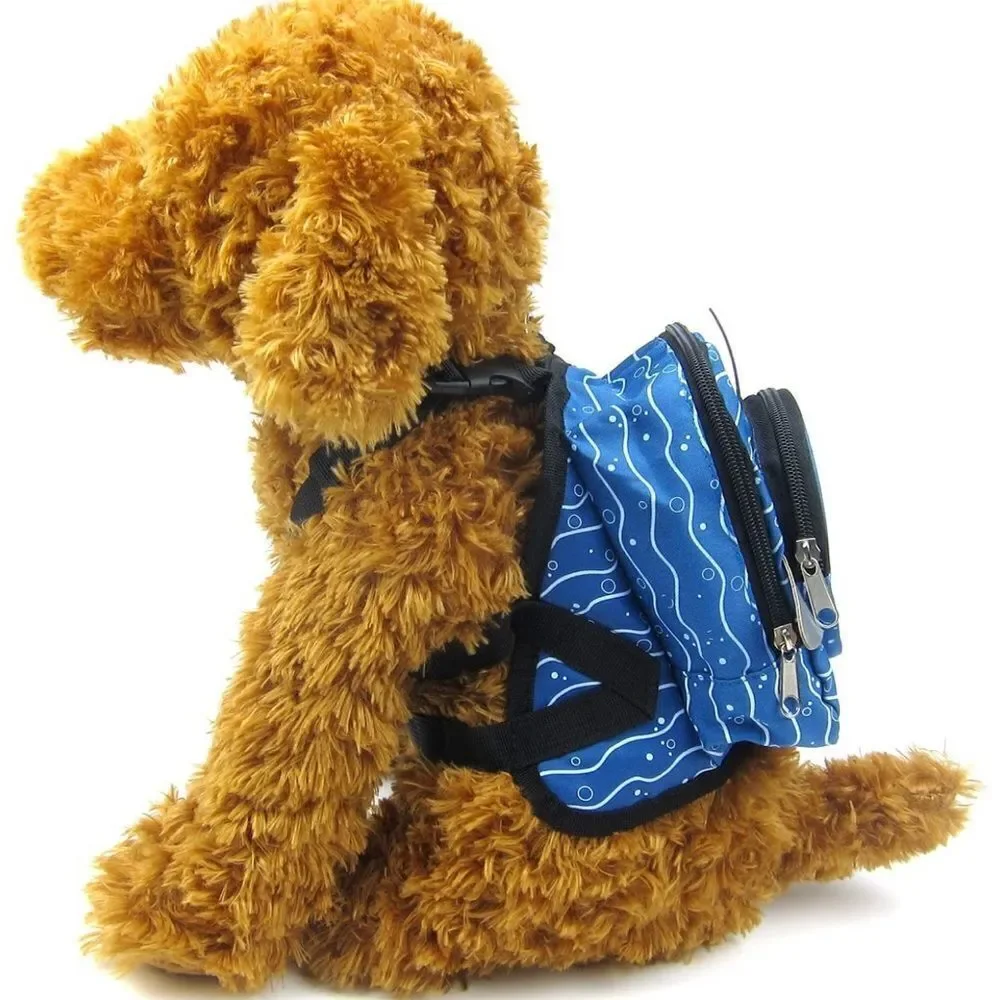 N/A little doggie