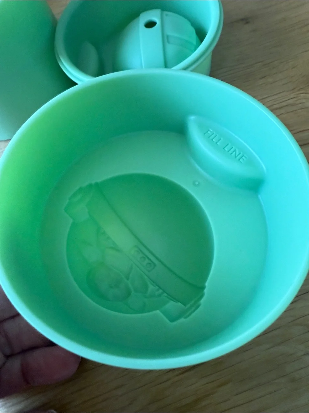 Williams Sonoma pair mint