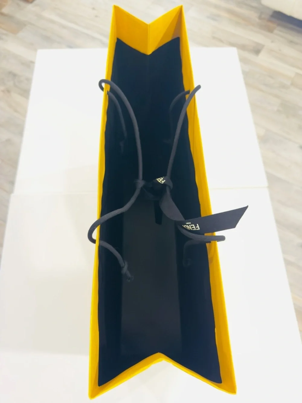 Fendi roma reusable