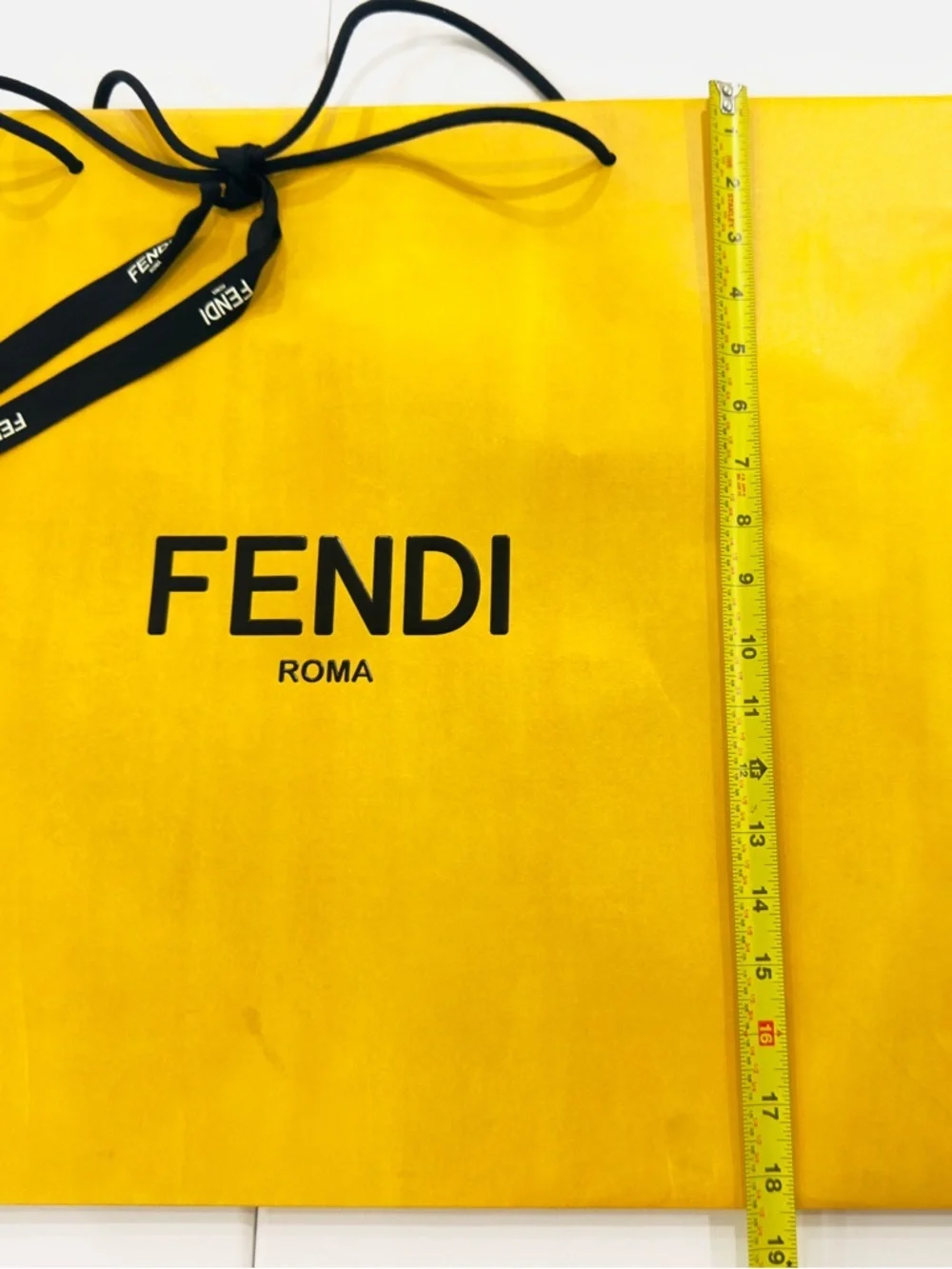 Fendi roma reusable