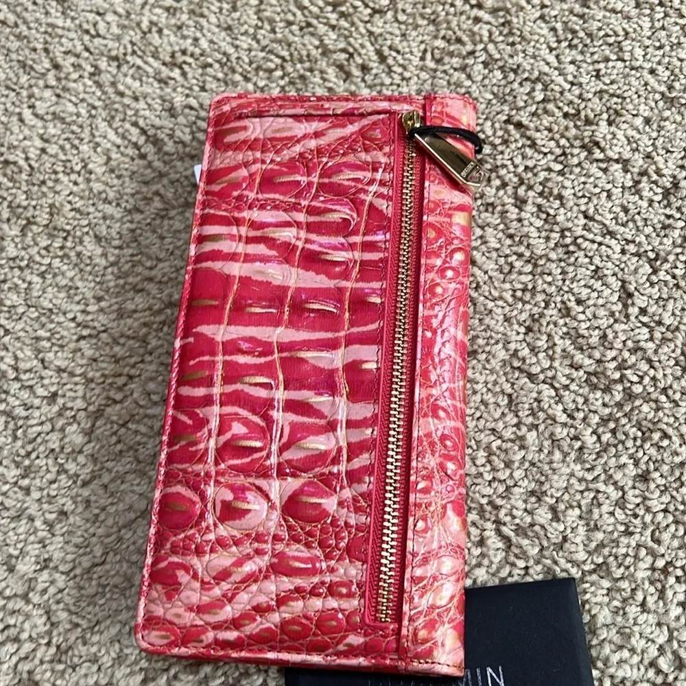 Brahmin new ady