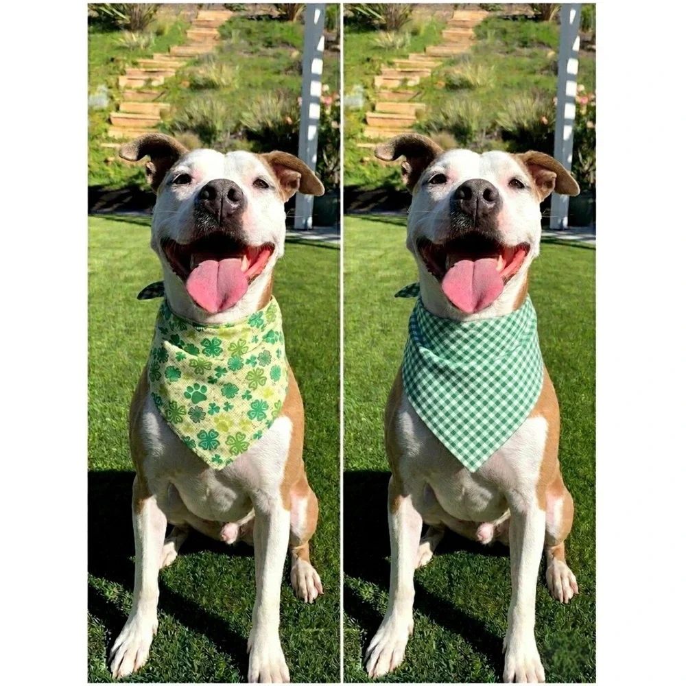 Handmade Reversible St Patricks Day Dog Bandana Shamrock Gingham Green‎ Medium