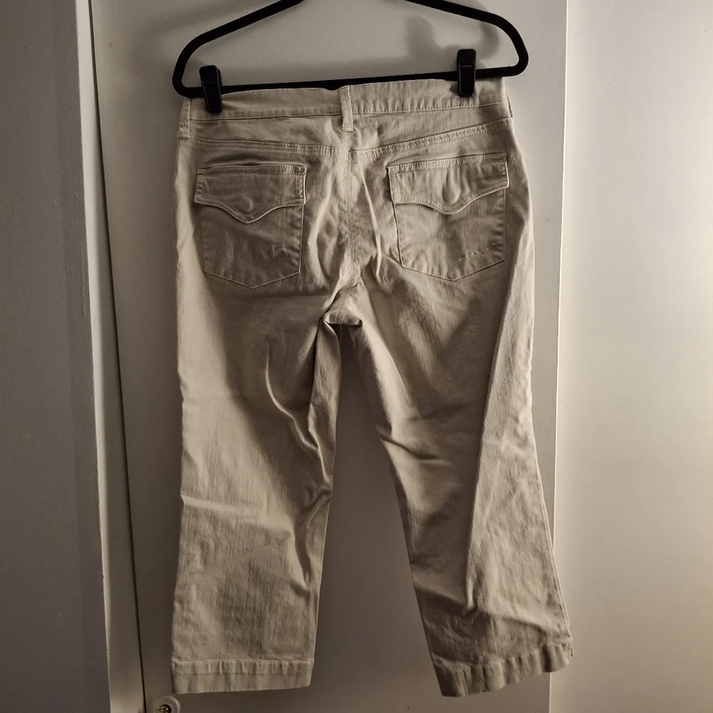 New York & Company stylish women