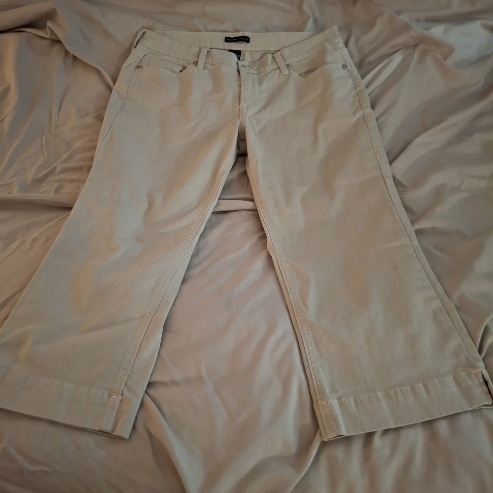 New York & Company stylish women