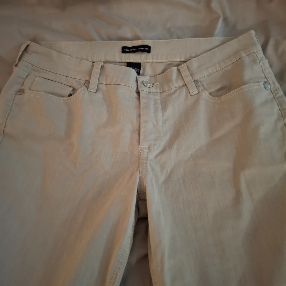 New York & Company stylish women