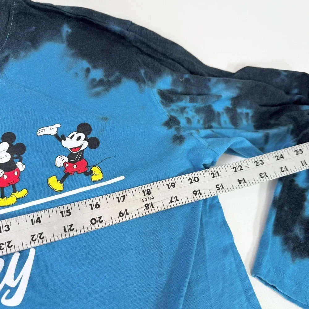 Disney brand subject