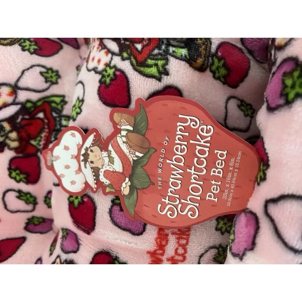 Strawberry Shortcake strawberry shortcake
