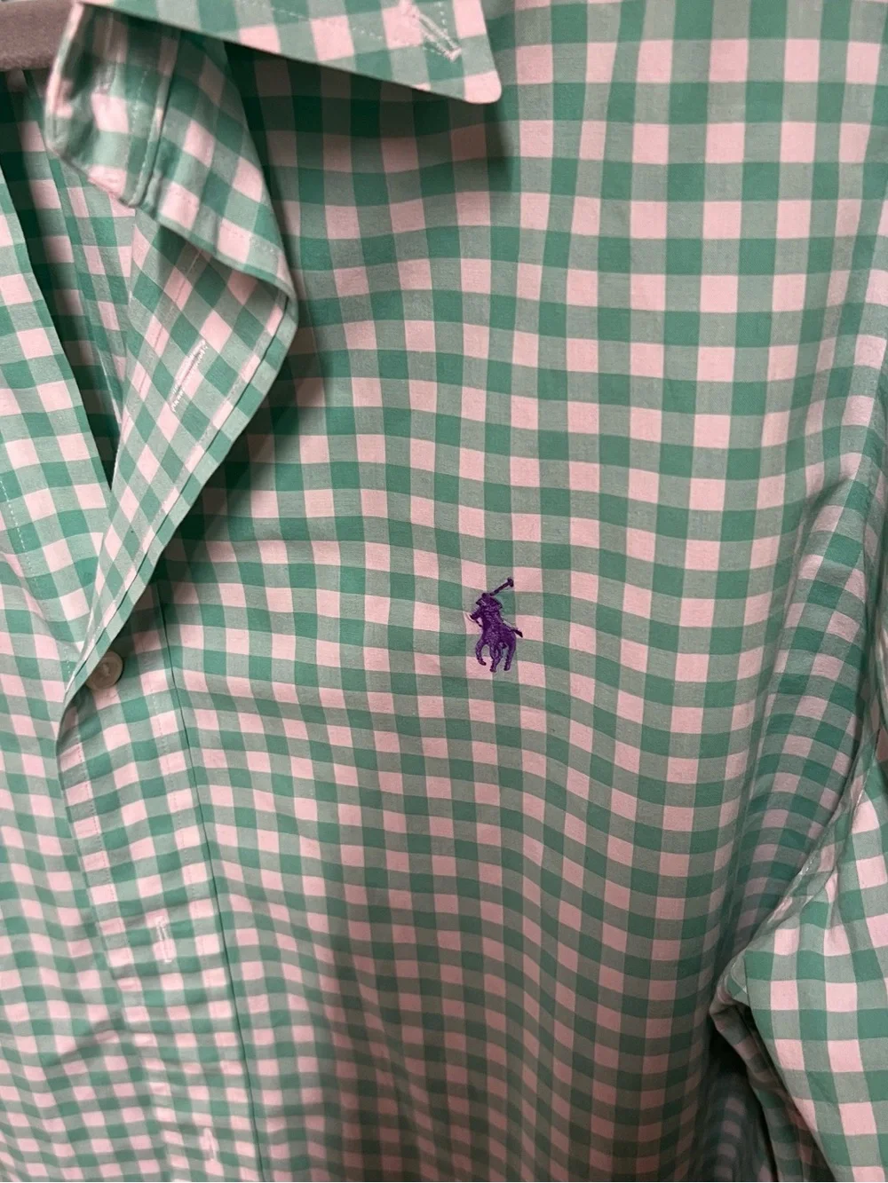 Polo by Ralph Lauren Mint Gingham Long-Sleeve Button-Down Shirt