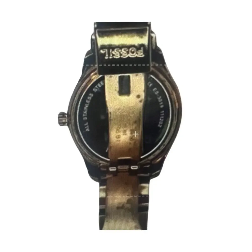 Fossil new major