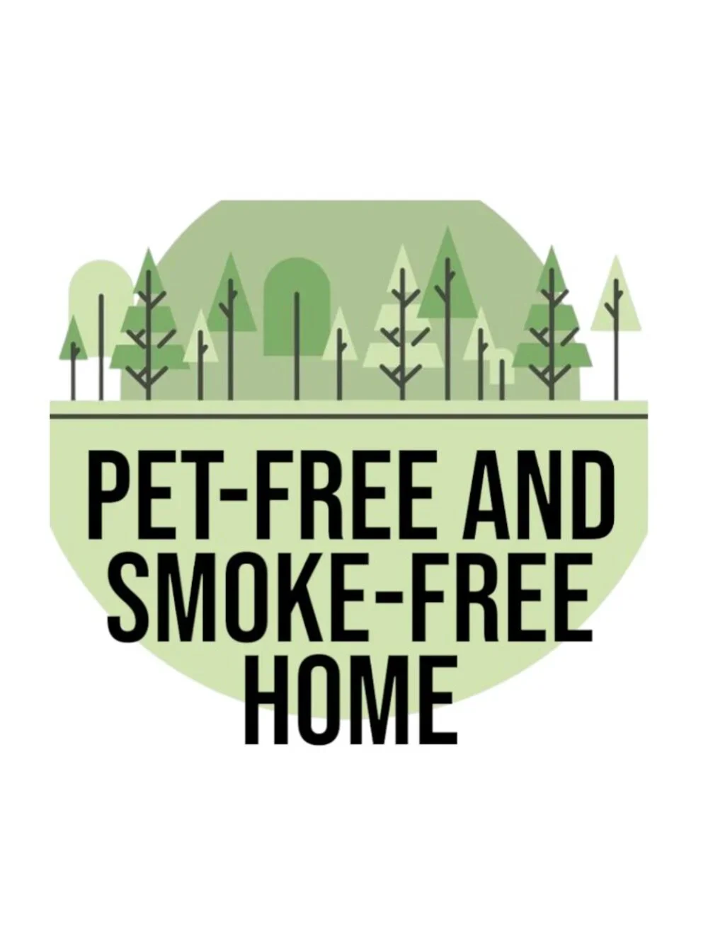 4 Book Bundle Lot Set Chapter Books Young Adult Literature Novels Mystery Books