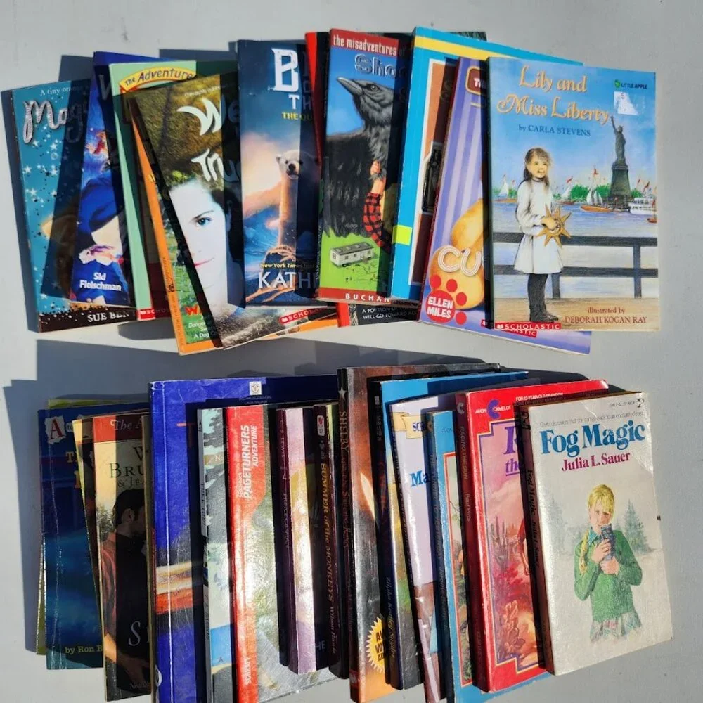 Scholastic book bundle