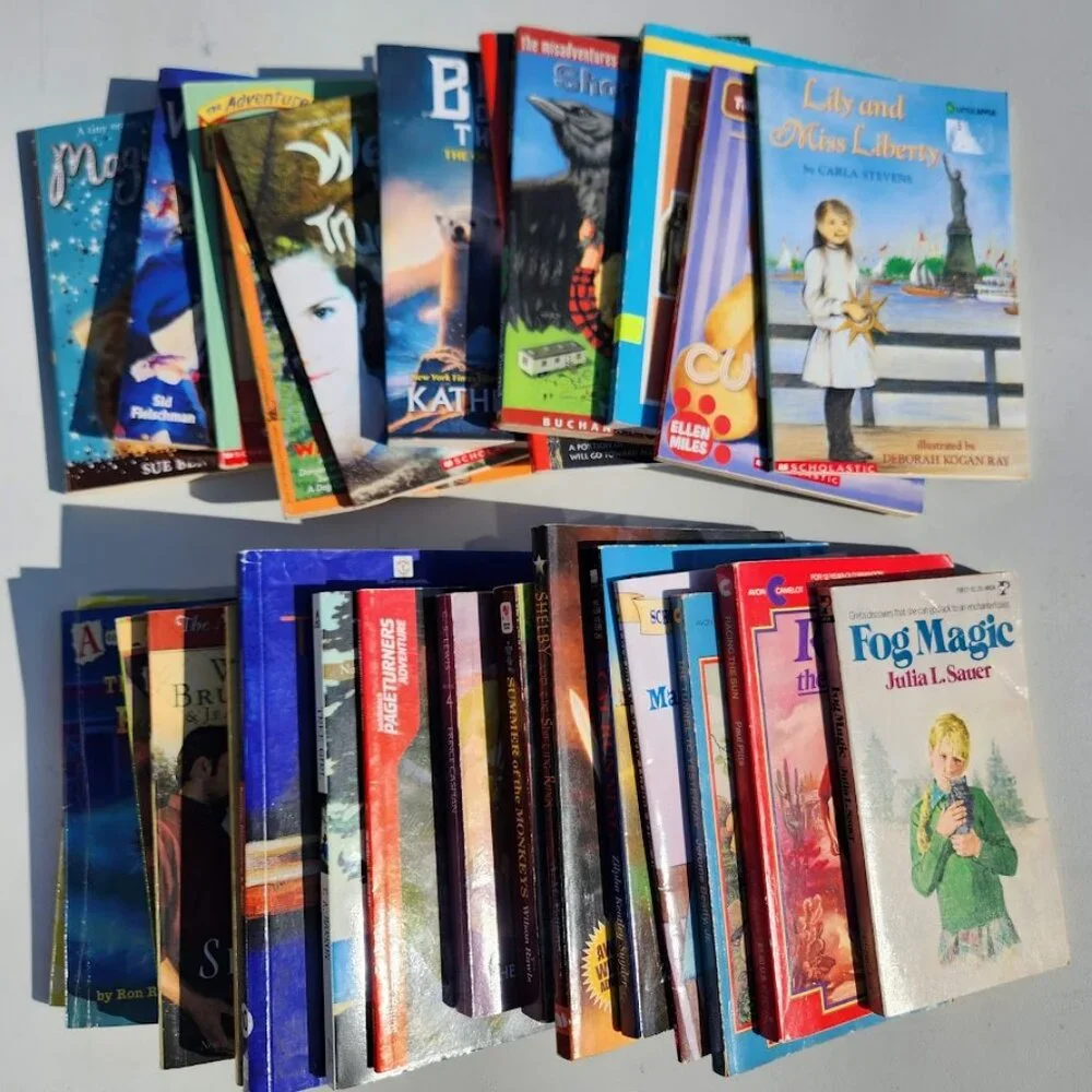 Scholastic book bundle