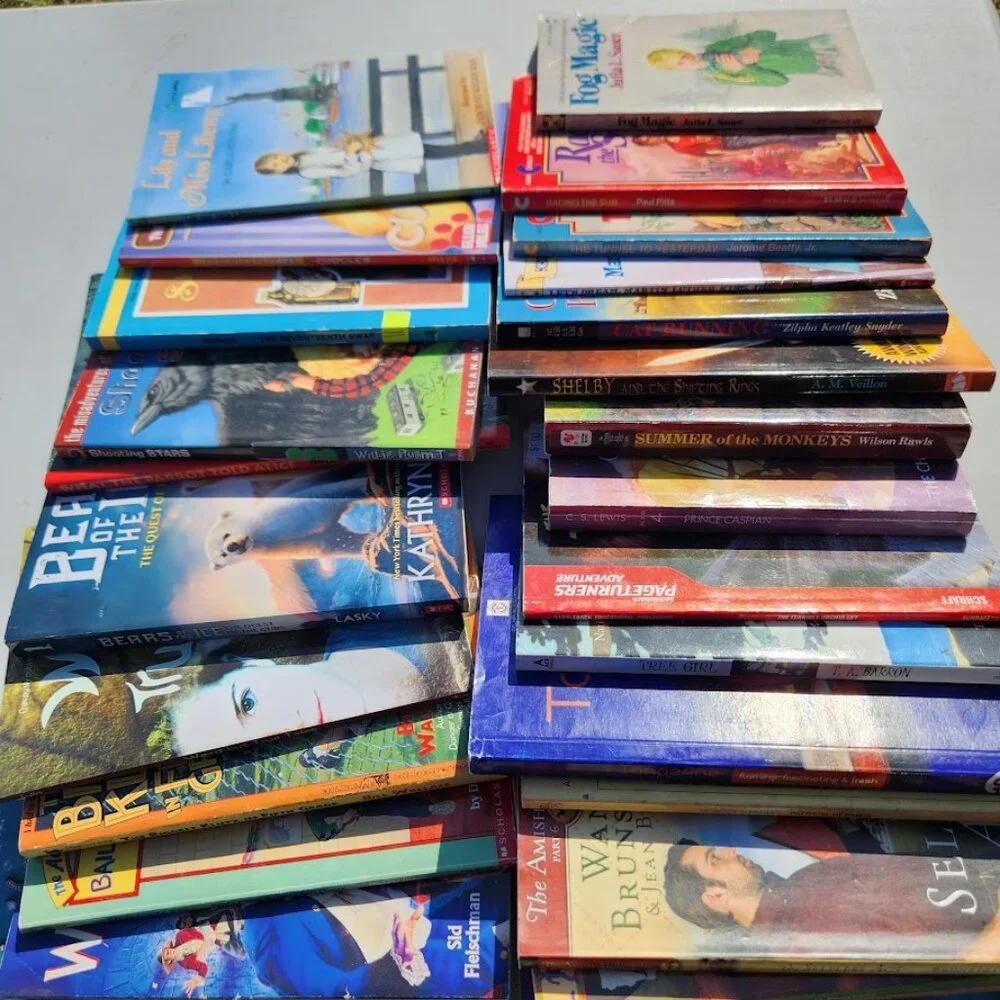 Scholastic book bundle