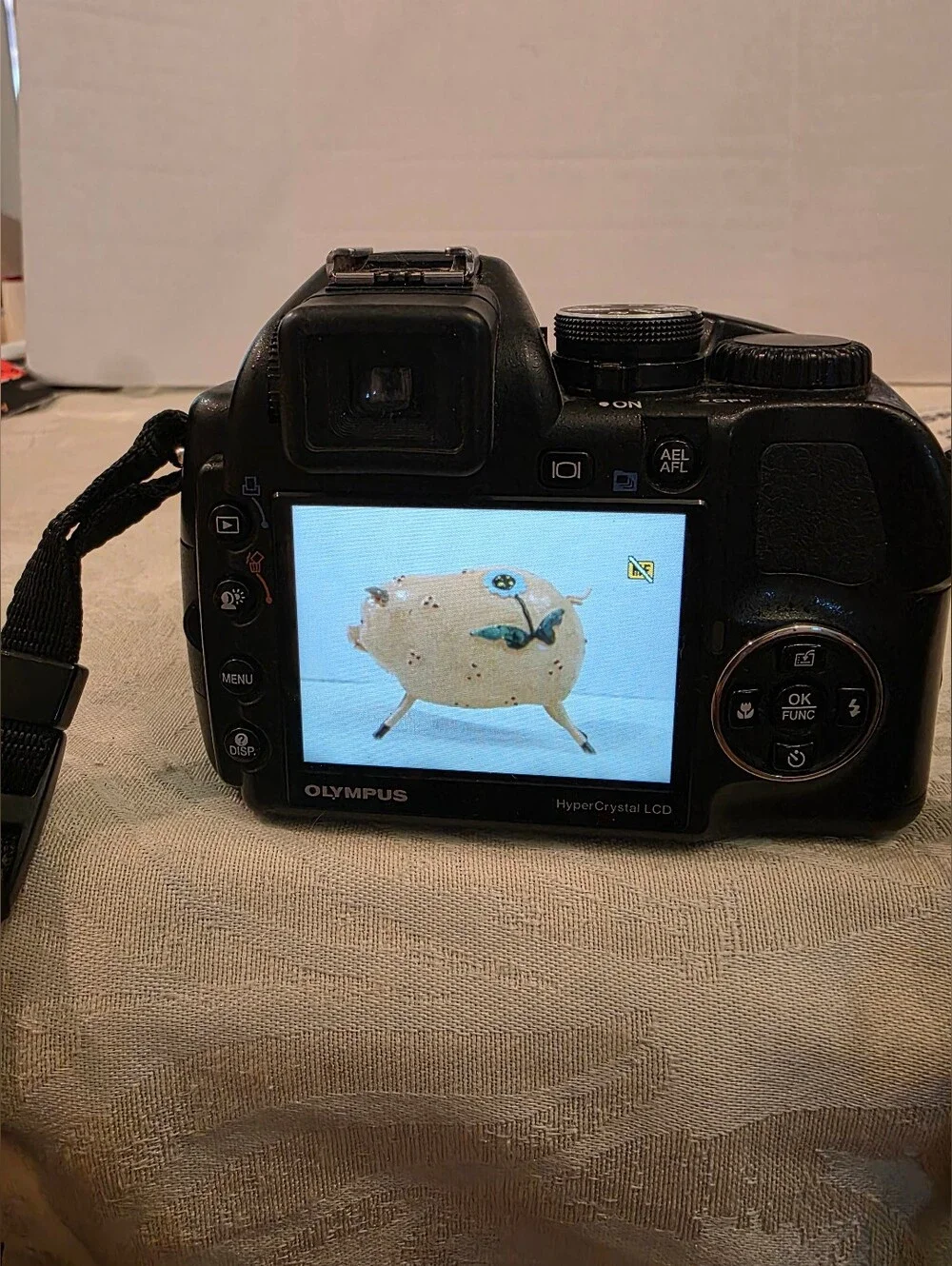 Olympus versatile bridge