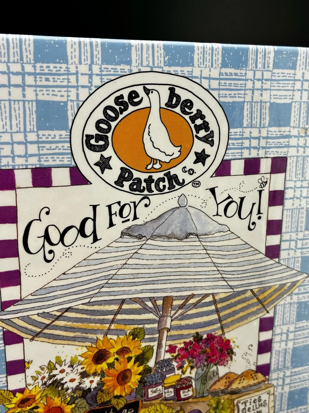 1996 Good For You! Cookbook — Light Blue Illustrated Cover