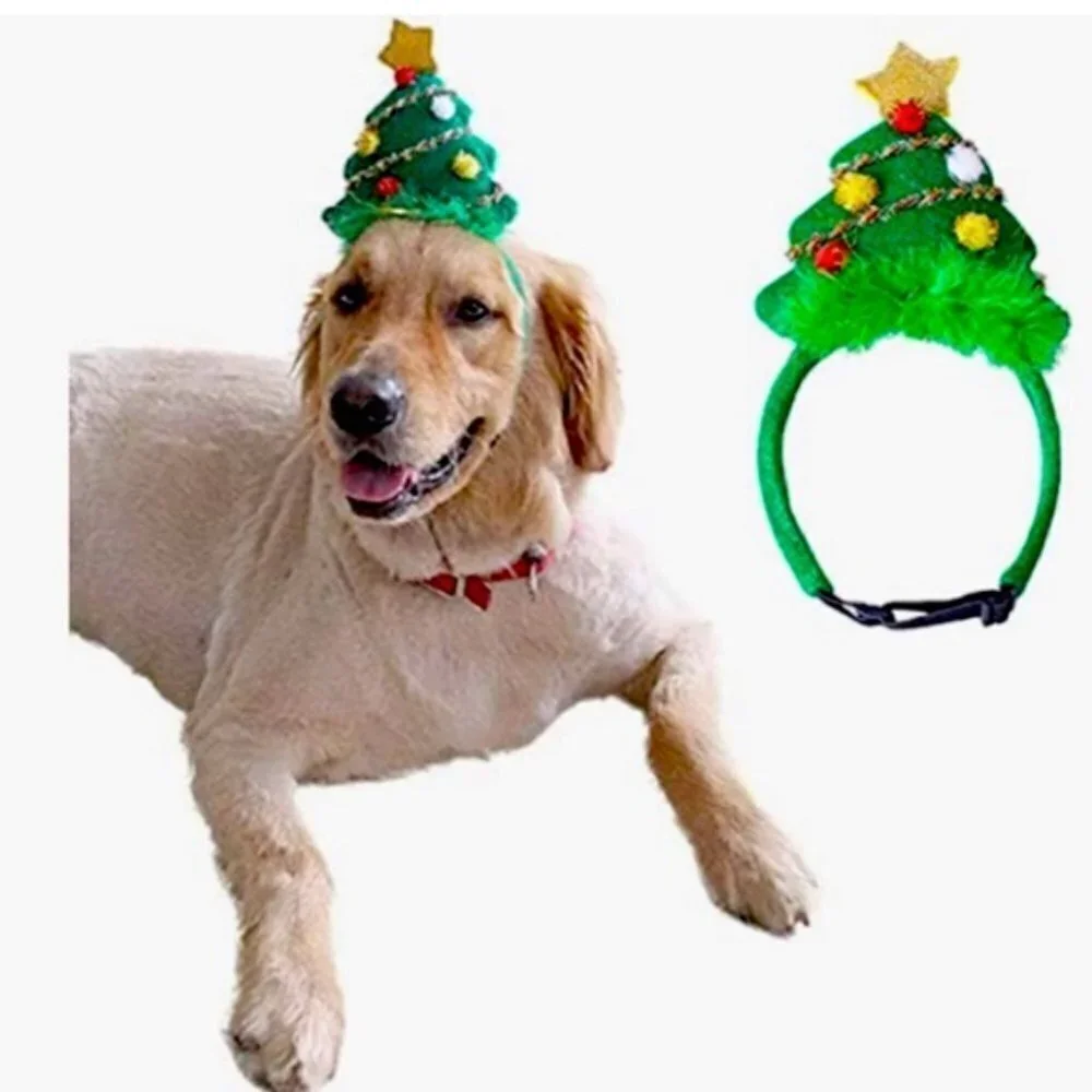 SPOT dog holiday