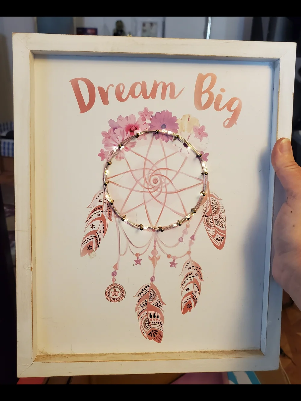 Dream Big Pink Floral Dreamcatcher Wall Art