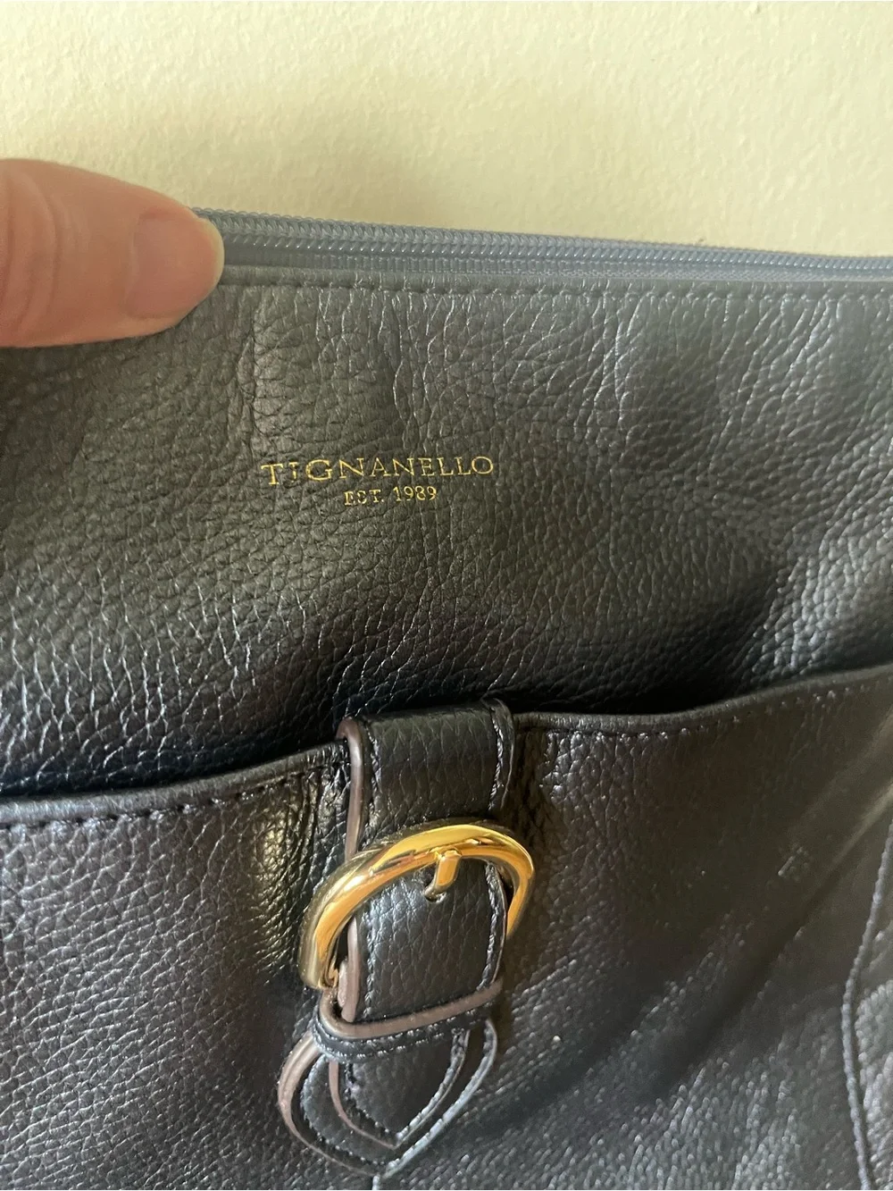 Tignanello crossbody purse