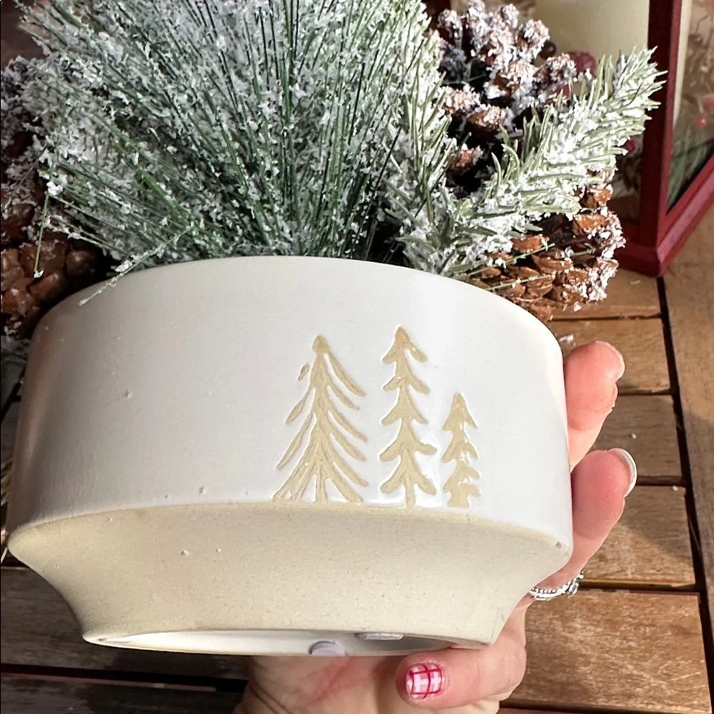 T.J.Maxx faux winter
