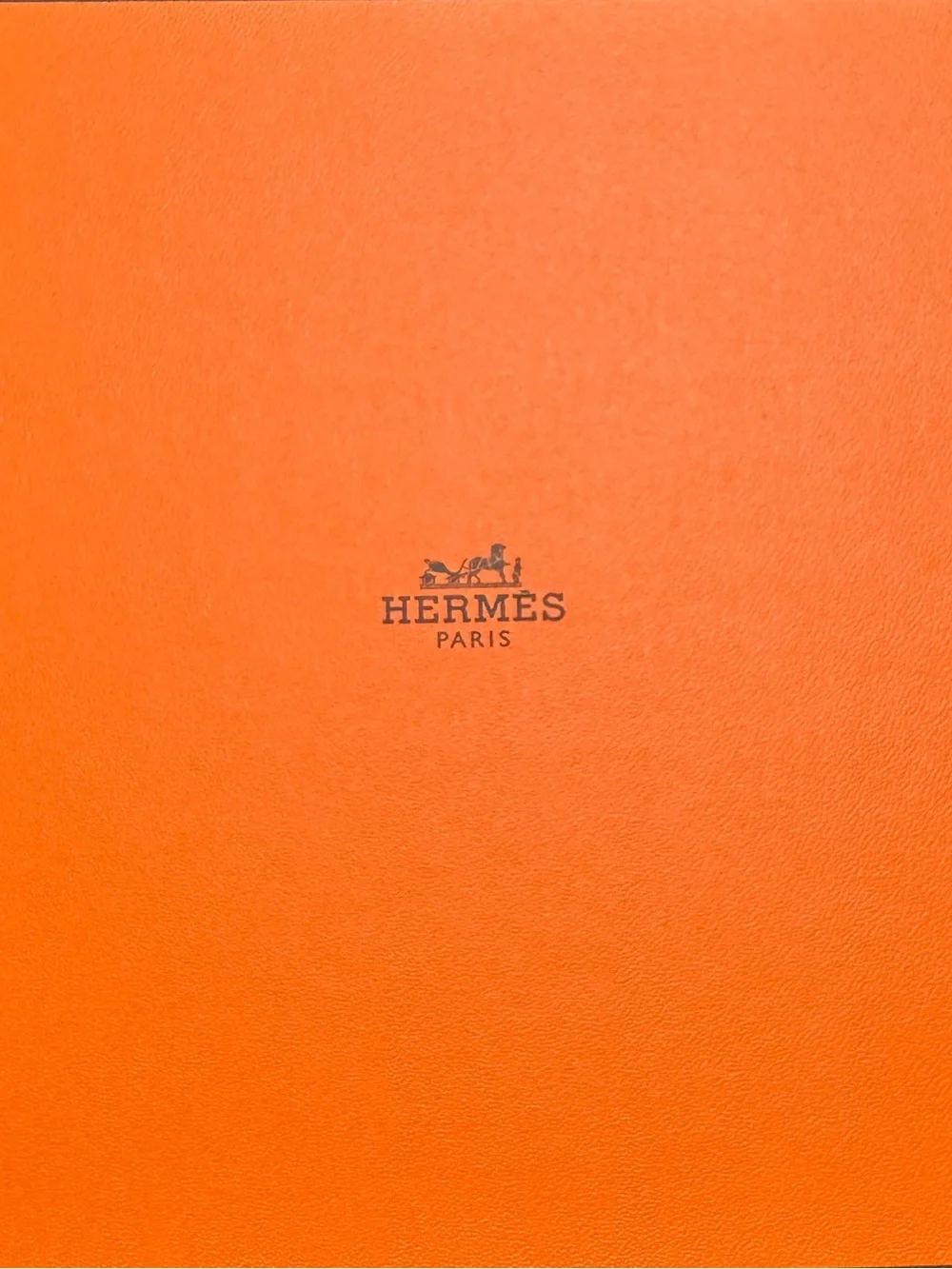 Hermes brand new