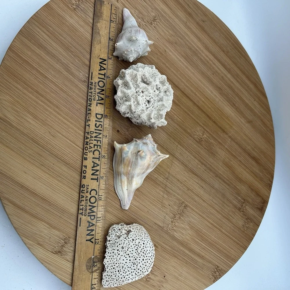 N/A dried natural