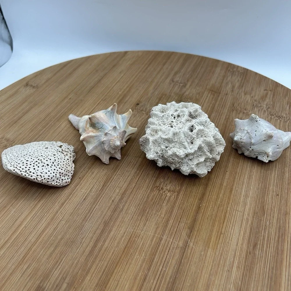 N/A dried natural