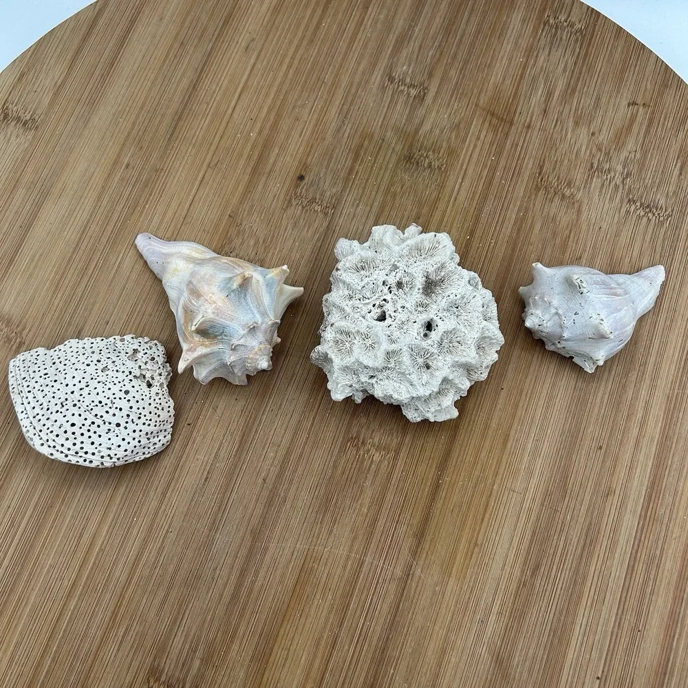 N/A dried natural