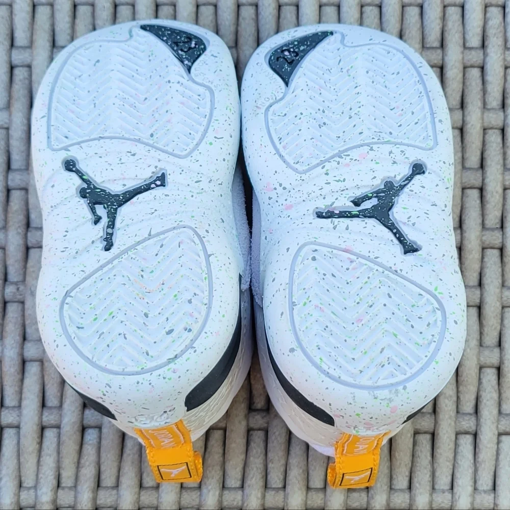 Jordan 12 retro