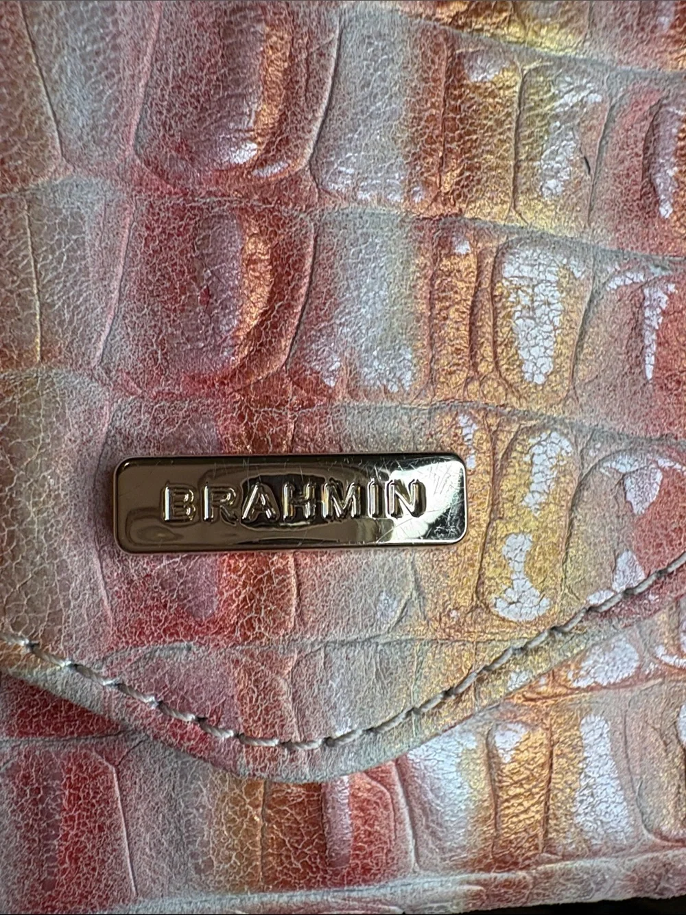 Brahmin veronica wallet