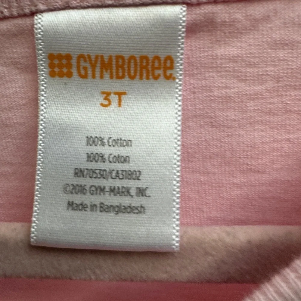 Gymboree worn 1x