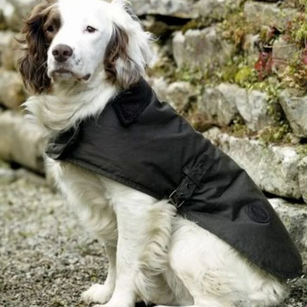 Barbour black new