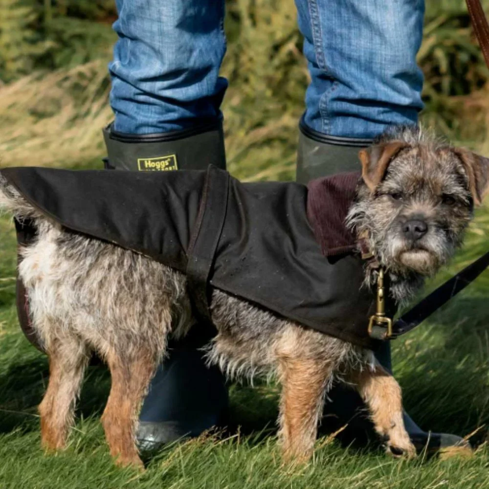 Barbour black new