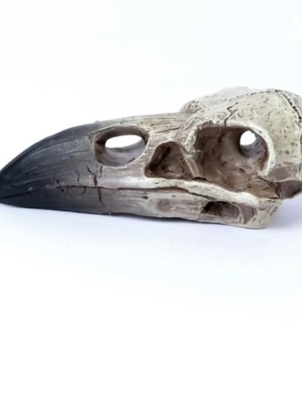 Alchemy Gothic realistic raven