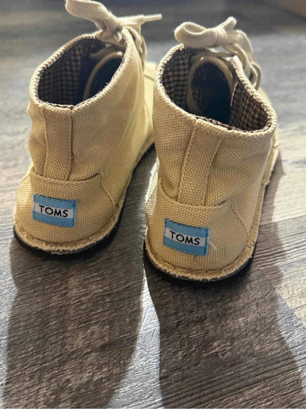 Toms classic canvas