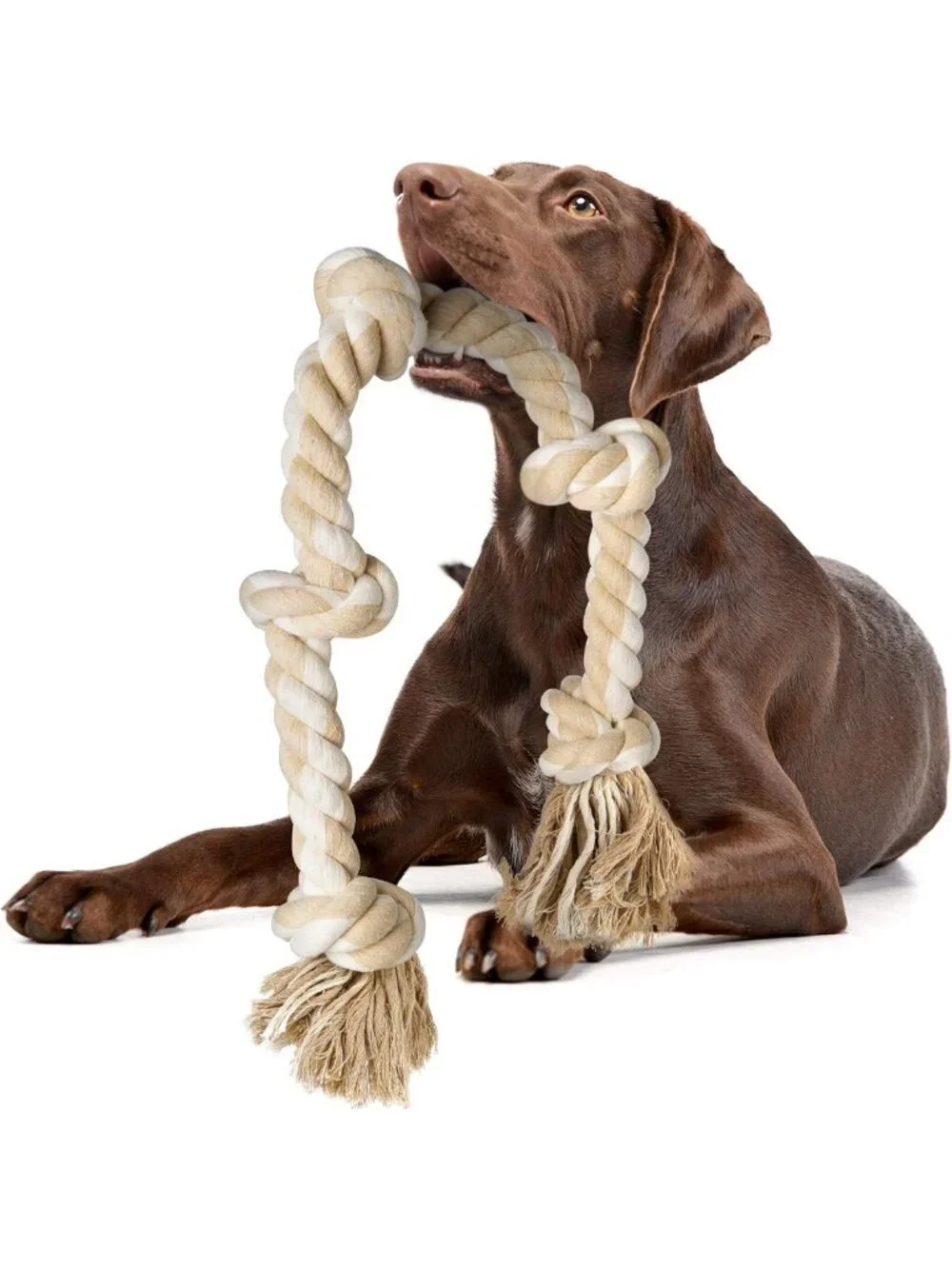 Durable Dog Rope Toy for Large Aggressive Chewers - 3ft Tug & Chew, Teeth