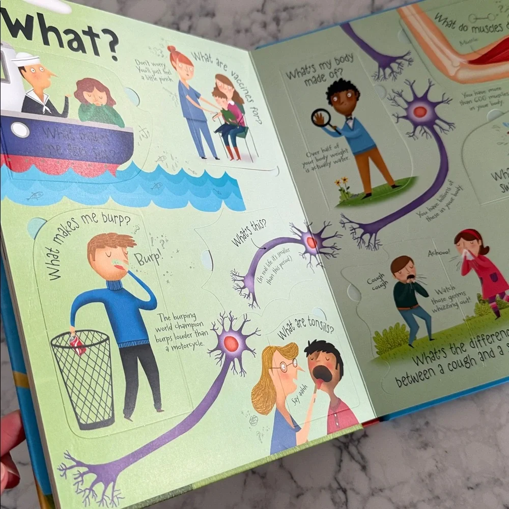 usborne flaws about world