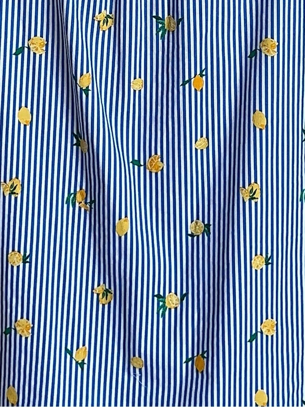 J. Crew crew blue