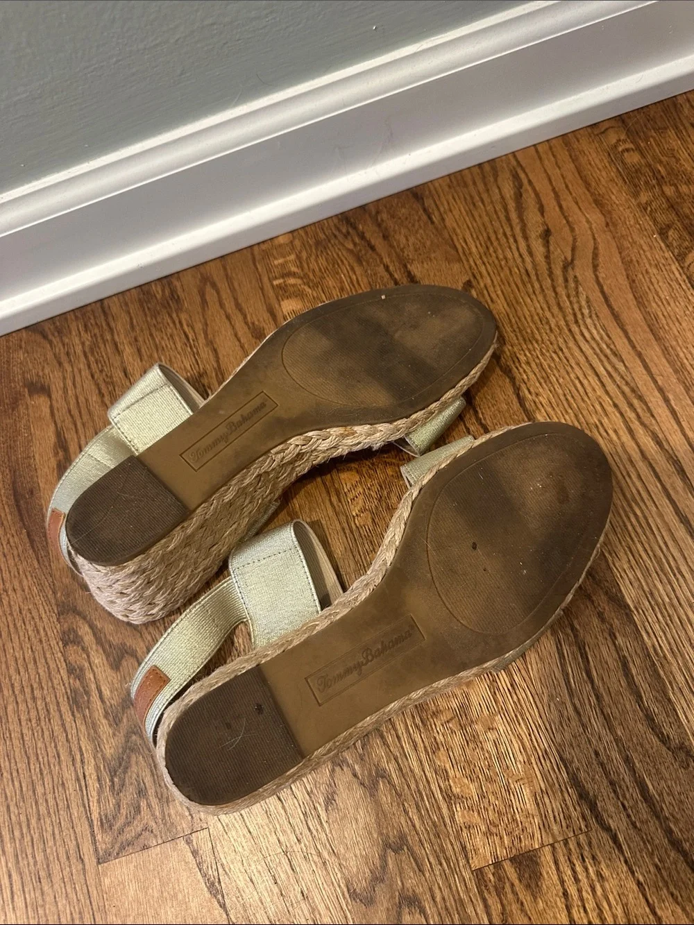 Tommy Bahama chic metallic