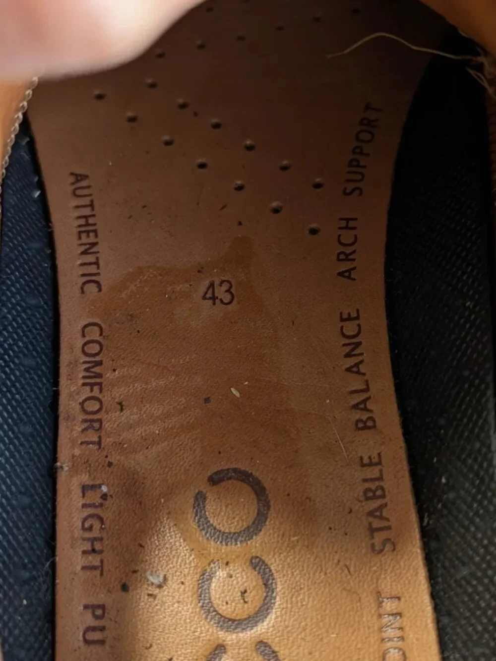 Ecco brand new