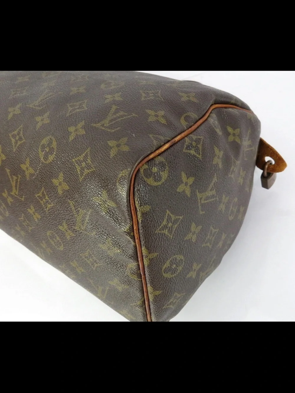 Louis Vuitton iconic louis