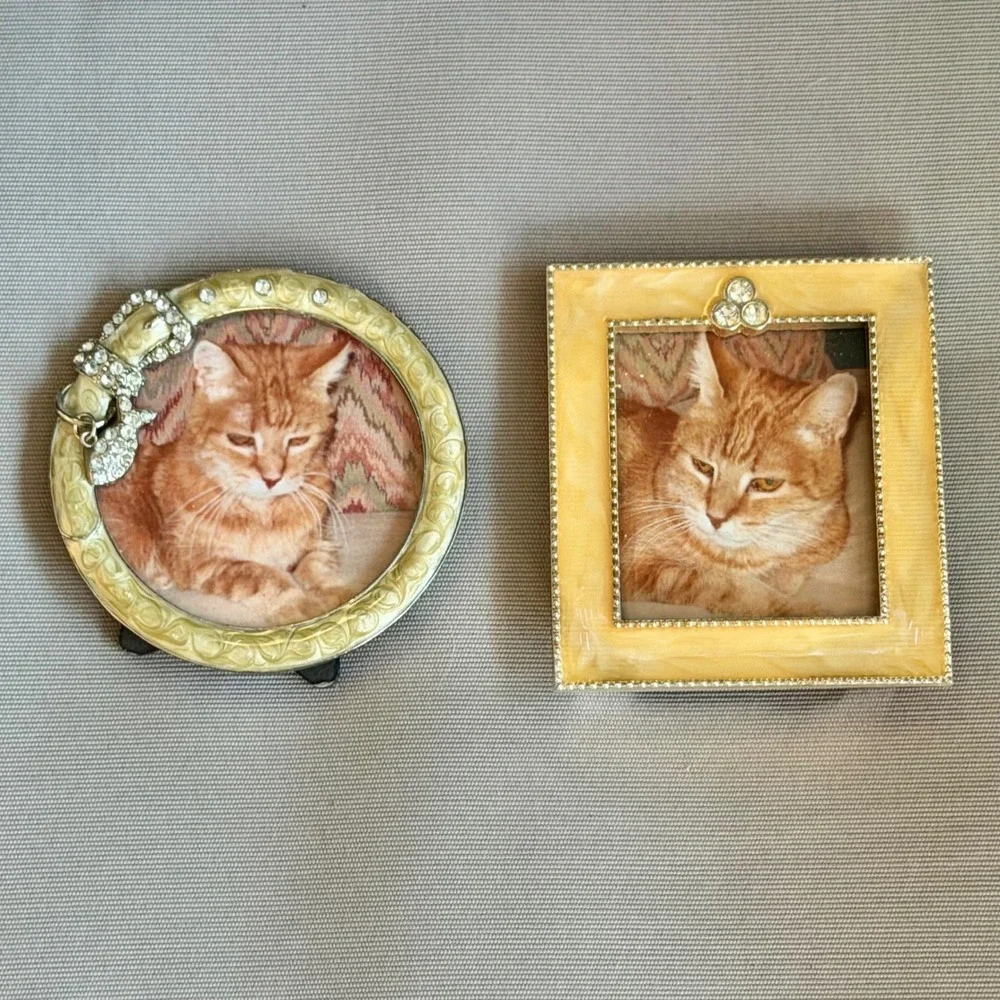 Green Tree Gallery Cat Frame Pair - Rhinestone Round & Square Orange Tabby Photo