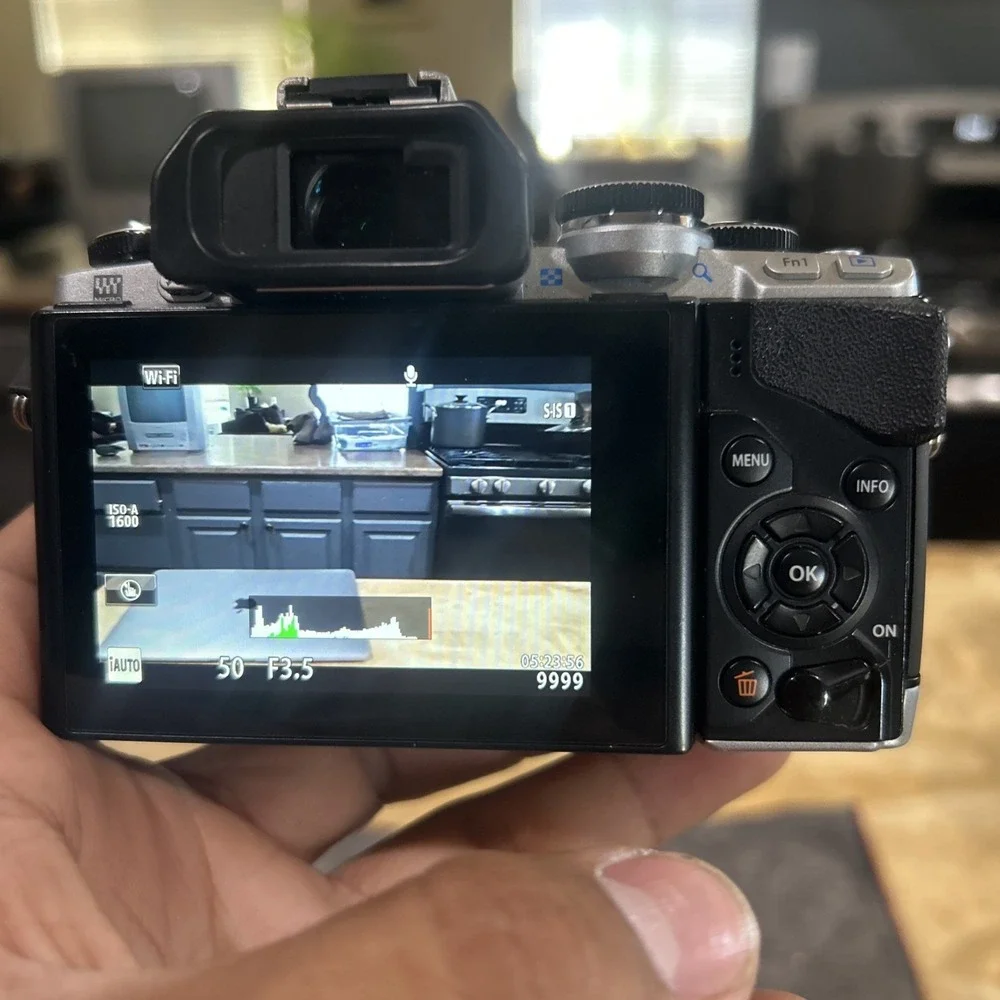 Olympus shutter count