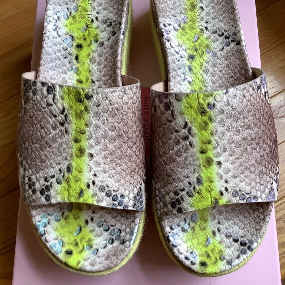 kate spade kate spade