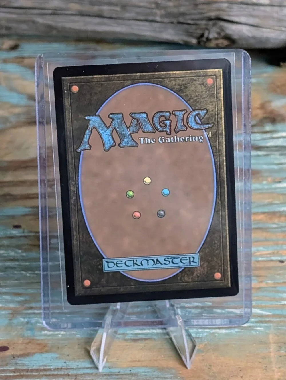 Magic gathering spider