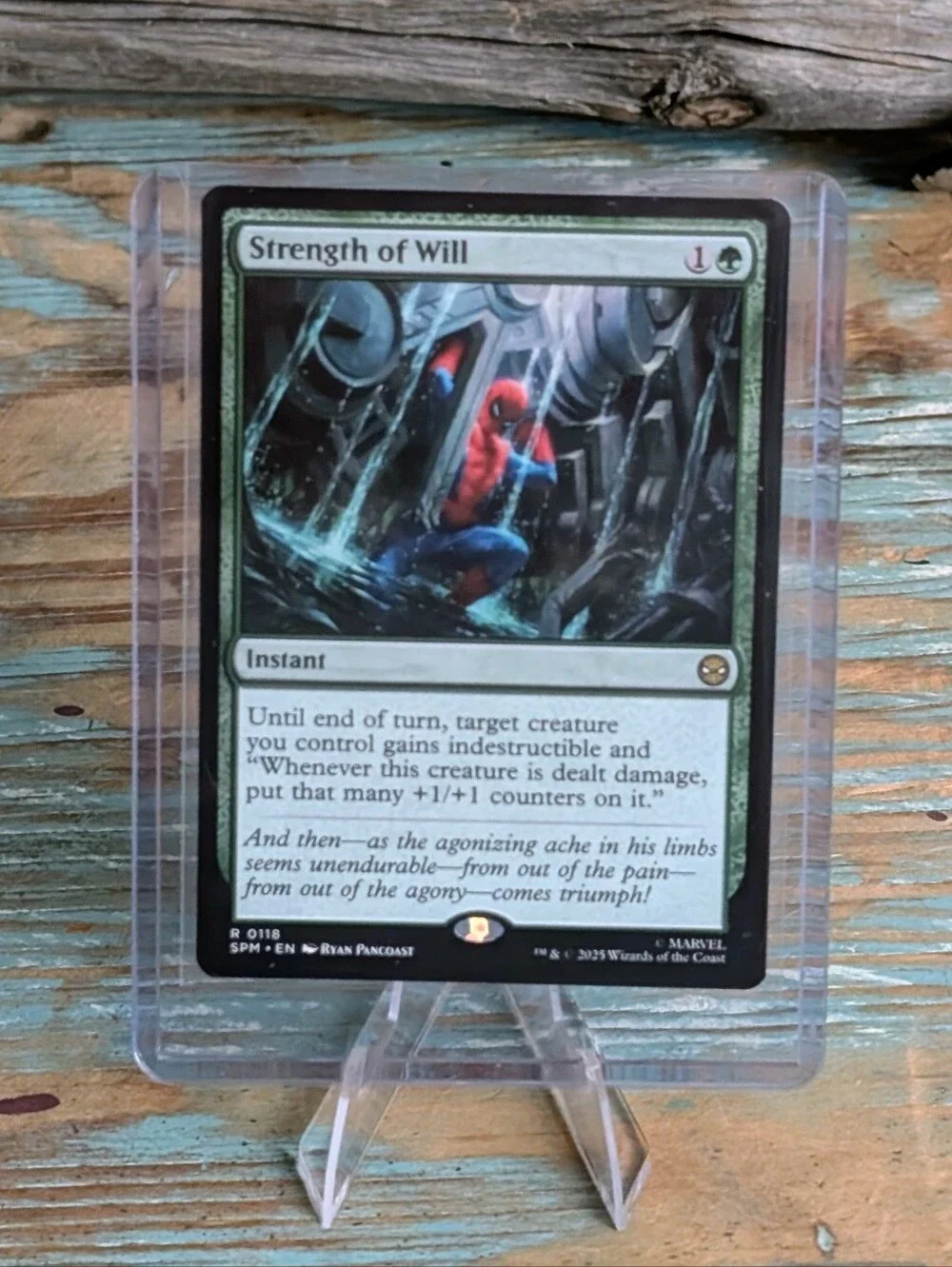 Magic gathering spider