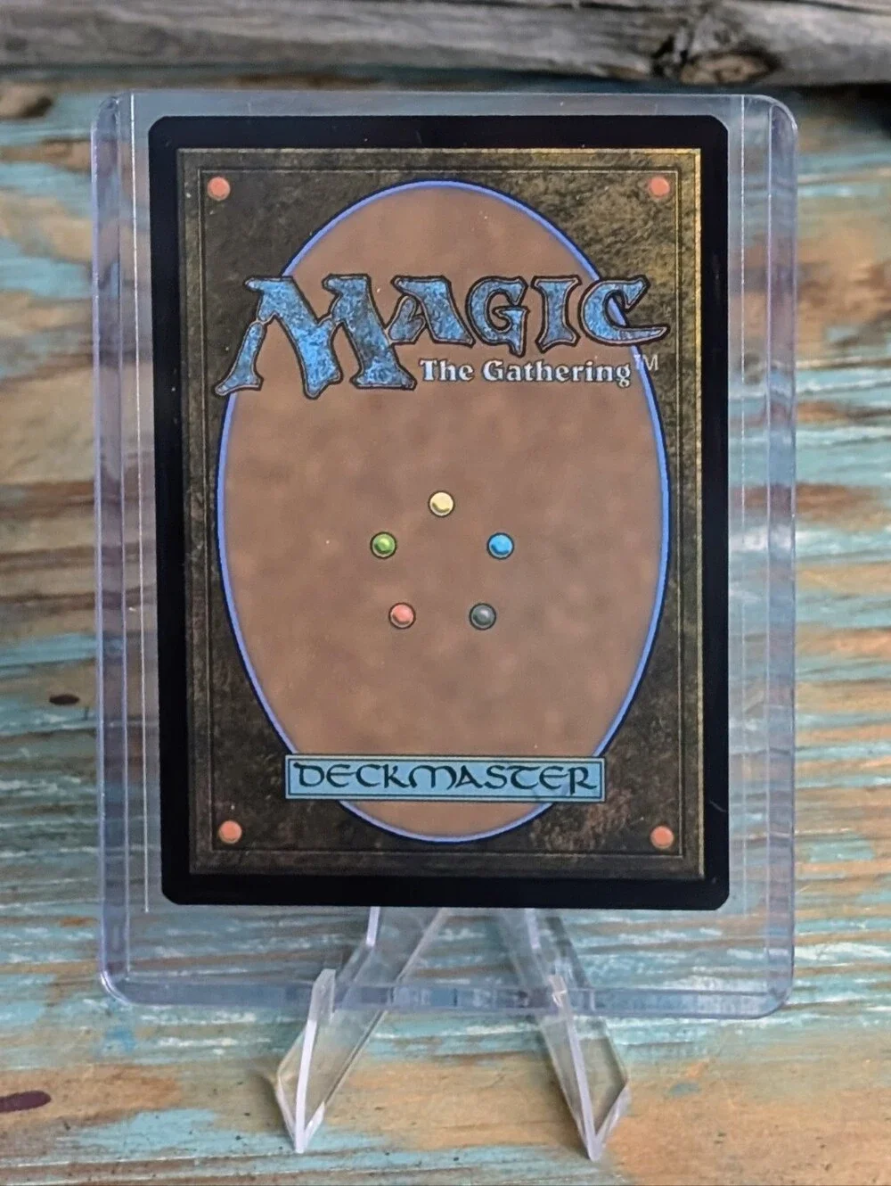 Magic gathering spider