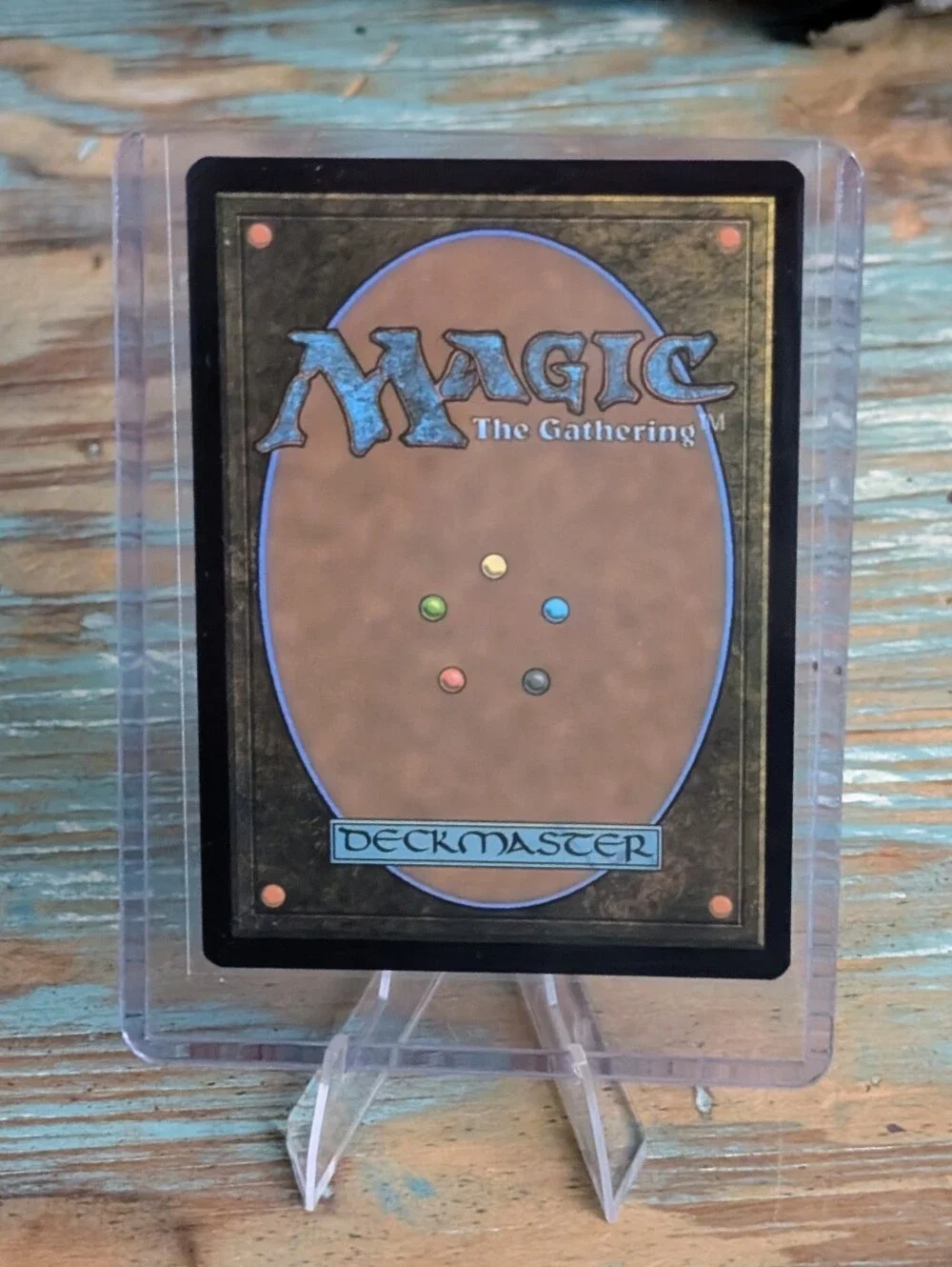 Magic gathering spider