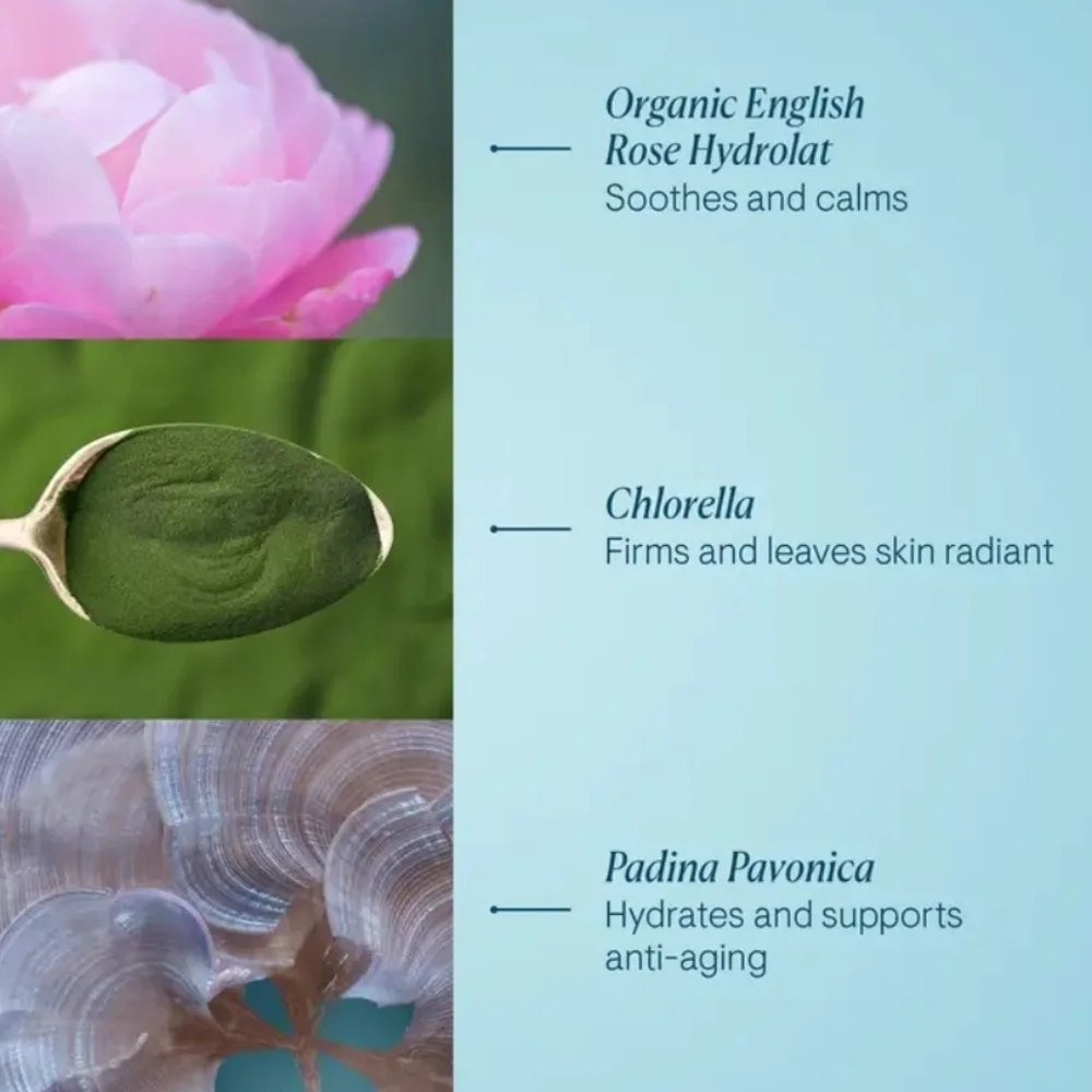 ELEMIS pro collagen