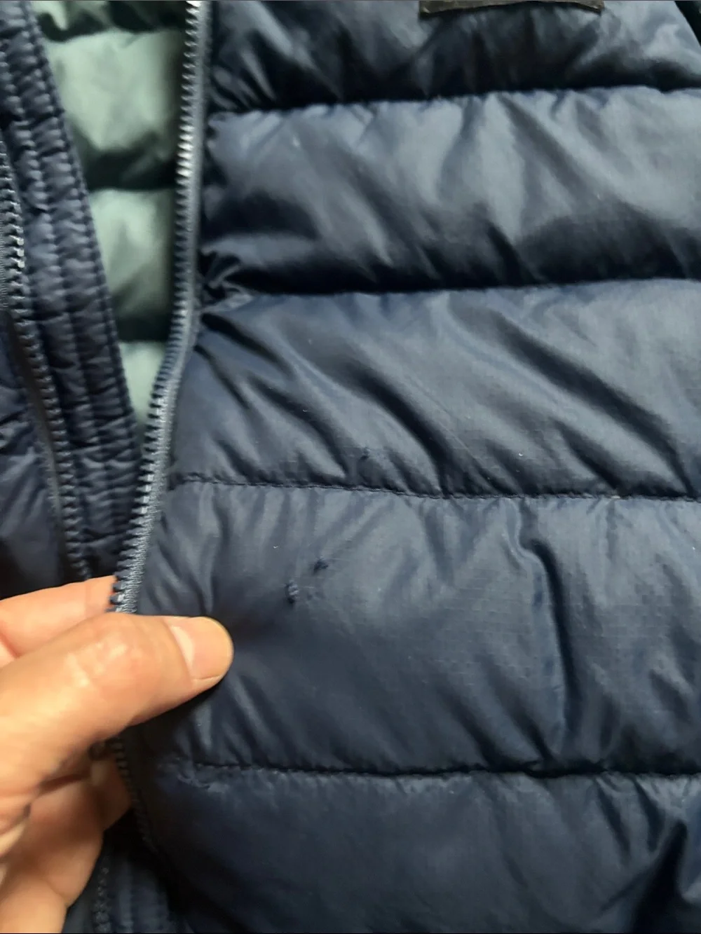 Patagonia lightweight insulated